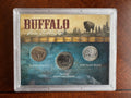 Buffalo Coin Collection – 1929 Buffalo Nickel, 1937 Bison Nickel & 2005 Kansas Statehood Quarter