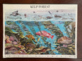 2009 Kelp Forest - 44 Cent Stamp